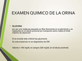 EXAMEN QUIMICO DE LA ORINA
• GLUCOSA
por ser una molécula pequeña se filtra libremente en el glomérulo y se
reabsorbe en el túbulo proximal por transporte activo hasta el límite
máximo de absorción
Si se excede este umbral hay glucosuria
Su sola presencia no es diagnóstica de DM
Valores ≥ 180 mg/dL en sangre (325 mg/dL en el túbulo proximal)
 