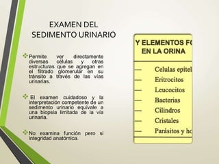 EXAMEN DEL
SEDIMENTO URINARIO
Permite ver directamente
diversas células y otras
estructuras que se agregan en
el filtrado glomerular en su
tránsito a través de las vías
urinarias.
 El examen cuidadoso y la
interpretación competente de un
sedimento urinario equivale a
una biopsia limitada de la vía
urinaria.
No examina función pero si
integridad anatómica.
 