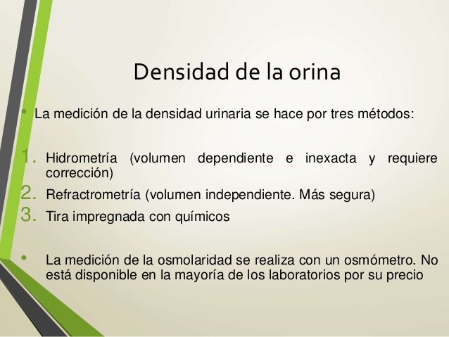 Examen general de orina