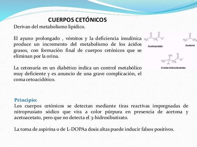 Examen general de orina