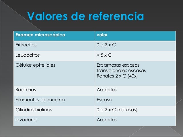Examen general de orina