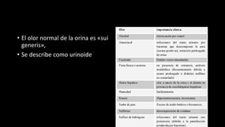 Amen General EXAMEN GENERAL DE ORINA.pptx