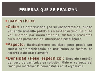 EXAMEN FÍSICO:
Color: Es determinado por su concentración, puede
variar de amarillo pálido a un ámbar oscuro. Se pude
ver alterado por medicamentos, dietas y productos
químicos presentes en situaciones patológicas.
Aspecto: Habitualmente es clara pero puede ser
turbia por precipitación de partículas de fosfato de
amorfo o de urato amorfo.
Densidad (Peso específico): Depende también
del peso de partículas en solución. Mide el esfuerzo del
riñón por mantener la homeostasis en el organismo
PRUEBAS QUE SE REALIZAN
 