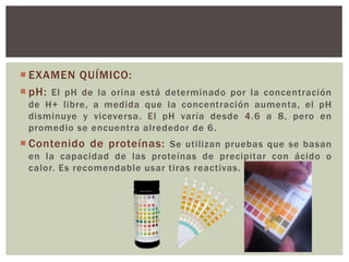  EXAMEN QUÍMICO:
 pH: El pH de la orina está determinado por la concentración
de H+ libre, a medida que la concentración aumenta, el pH
disminuye y viceversa. El pH varía desde 4.6 a 8, pero en
promedio se encuentra alrededor de 6.
 Contenido de proteínas: Se utilizan pruebas que se basan
en la capacidad de las proteínas de precipitar con ácido o
calor. Es recomendable usar tiras reactivas.
 