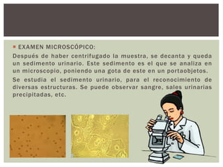  EXAMEN MICROSCÓPICO:
Después de haber centrifugado la muestra, se decanta y queda
un sedimento urinario. Este sedimento es el que se analiza en
un microscopio, poniendo una gota de este en un portaobjetos.
Se estudia el sedimento urinario, para el reconocimiento de
diversas estructuras. Se puede observar sangre, sales urinarias
precipitadas, etc.
 