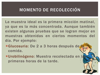 La muestra ideal es la primera micción matinal,
ya que es la más concentrada. Aunque también
existen algunas pruebas que se logran mejor en
muestras obtenidas en ciertos momentos del
día. Por ejemplo:
Glucosuria: De 2 a 3 horas después de la
comida.
Urobilinógeno: Muestra recolectada en las
primeras horas de la tarde.
MOMENTO DE RECOLECCIÓN
 