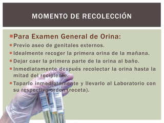 Para Examen General de Orina:
 Previo aseo de genitales externos.
 Idealmente recoger la primera orina de la mañana.
 Dejar caer la primera parte de la orina al baño.
 Inmediatamente después recolectar la orina hasta la
mitad del recipiente.
 Taparlo inmediatamente y llevarlo al Laboratorio con
su respectiva orden (receta).
MOMENTO DE RECOLECCIÓN
 