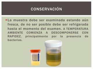 La muestra debe ser examinada estando aún
fresca, de no ser posible debe ser refrigerada
hasta el momento del examen. A TEMPERATURA
AMBIENTE COMIENZA A DESCOMPONERSE CON
RAPIDEZ, principalmente por la presencia de
bacterias.
CONSERVACIÓN
 