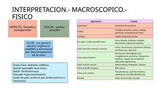 Amen General EXAMEN GENERAL DE ORINA EN PEDIATRIA.pptx