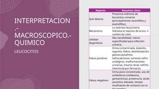 Amen General EXAMEN GENERAL DE ORINA EN PEDIATRIA.pptx