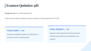 Amen General Examen General de Orina y Mecanismos de miccion (Extendido). | PDF