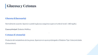 Amen General Examen General de Orina y Mecanismos de miccion (Extendido). | PDF