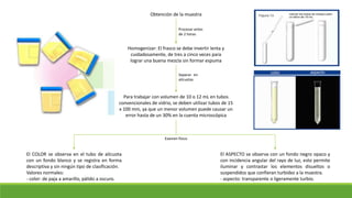 Amen General examen general de orina NEFROLOGIA..pptx