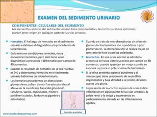 Examen General De La Orina Examen F sico Qu mico PPT examen-general-de-la-orina-examen-f-sico-qu-mico-ppt