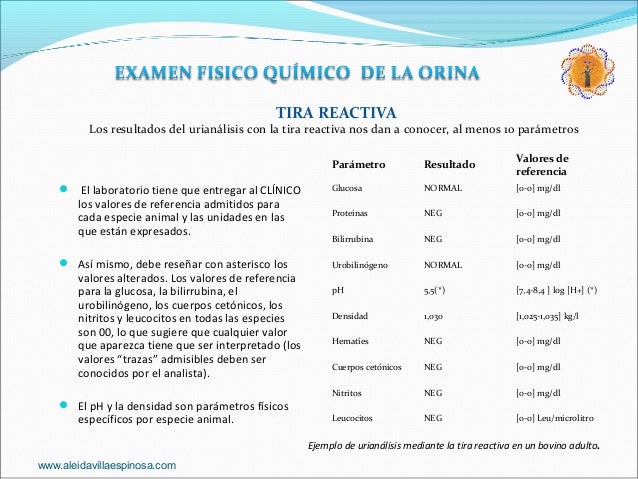 Examen General de la Orina. Examen Físico Químico.