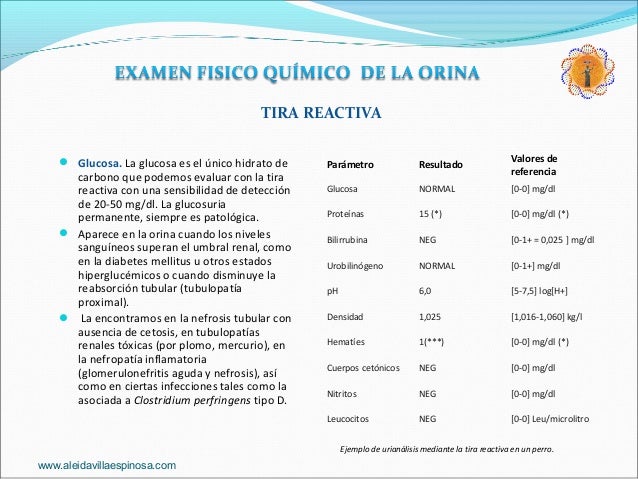 Examen General de la Orina. Examen Físico Químico. Examen General de la Orina. Examen Físico Químico.