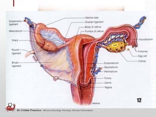 12
Dr. Cristian Francisco. Obstetra-Ginecólogo /Oncólogo. Docente Universitario.
 