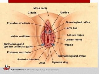 36
Dr. Cristian Francisco. Obstetra-Ginecólogo /Oncólogo. Docente Universitario.
 