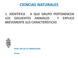 CIENCIAS NATURALES
NTRA. SRA DE LA CONSOLACIÓN
Héctor
HECTOR
1. IDENTIFICA A QUE GRUPO PERTENENCEN
LOS SIGUIENTES ANIMALES Y EXPLICA
BREVEMENTE SUS CARACTERÍSTICAS
 