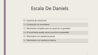0 = Ausencia de contracción
1 = Contracción sin movimiento
2 = Movimiento completo pero sin oposición ni gravedad
3 = El movimiento puede vencer la acción a la gravedad
4 = Movimiento con resistencia parcial.
5 = Movimiento con resistencia máxima
12
 