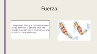 La capacidad física que conocemos como
fuerza permite a la persona crear una
tensión muscular, con el fin de vencer una
oposición o una sobrecarga
2
 