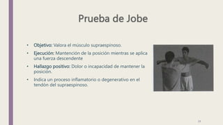 • Objetivo: Valora el músculo supraespinoso.
• Ejecución: Mantención de la posición mientras se aplica
una fuerza descendente
• Hallazgo positivo: Dolor o incapacidad de mantener la
posición.
• Indica un proceso inflamatorio o degenerativo en el
tendón del supraespinoso.
29
 
