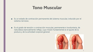 ■ Es un estado de contracción permanente del sistema muscular, inducido por el
sistema nervioso.
■ Es el grado de tensión o contracción muscular, permanente e involuntaria, de
naturaleza esencialmente refleja, cuya misión fundamental es el ajuste de la
postura y de la actividad corporal general
8
 