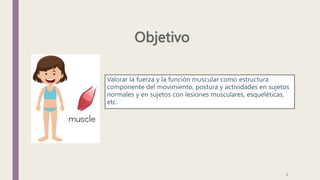 Valorar la fuerza y la función muscular como estructura
componente del movimiento, postura y actividades en sujetos
normales y en sujetos con lesiones musculares, esqueléticas,
etc.
9
 