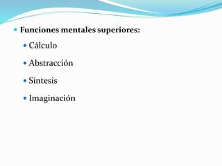  Funciones mentales superiores:
 Cálculo
 Abstracción
 Síntesis
 Imaginación
 