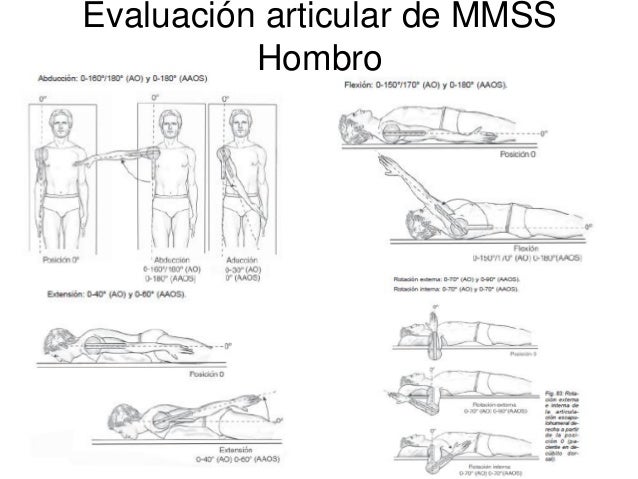 Examen muscular, articular y mimica facia