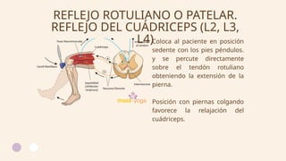 examen-neurol-gico-revisi-n-de-reflejos-profundos-pptx