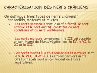 CARACTÉRISATION DES NERFS CRÂNIENS

On distingue trois types de nerfs crâniens :
 sensoriels, moteurs et mixtes.
      Les nerfs sensoriels sont le nerf olfactif, le nerf
      optique et le nerf auditif, constitué du nerf
      cochléaire et du nerf vestibulaire.

      Les nerfs moteurs comprennent le III qui possède
      un contingent de fibres végétatives, le IV, le VI, le
      XI et le XII.

     Les nerfs mixtes à la fois sensoriels et moteurs sont
      le V, le VII, IX et le X. Les trois derniers nerfs
      cités ont également un contingent de fibres
      végétatives.
 