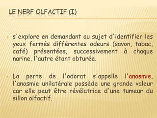 LE NERF OLFACTIF (I)



•    s'explore en demandant au sujet d'identifier les
     yeux fermés différentes odeurs (savon, tabac,
     café) présentées, successivement à chaque
     narine, l'autre étant obturée.

•    La perte de l'odorat s'appelle l'anosmie,
     l'anosmie unilatérale possède une grande valeur
     car elle peut être révélatrice d'une tumeur du
     sillon olfactif.
 