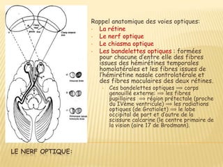 Rappel anatomique des voies optiques:
                   • La rétine
                   • Le nerf optique
                   • Le chiasma optique
                   • Les bandelettes optiques : formées
                     pour chacune d’entre elle des fibres
                     issues des hémirétines temporales
                     homolatérales et les fibres issues de
                     l’hémirétine nasale controlatérale et
                     des fibres maculaires des deux rétines.
                      •   Ces bandelettes optiques ⟹ corps
                          genouillé externe: ⟹ les fibres
                          pupillaires ⟹ région prétectale (proche
                          du IVème ventricule) ⟹ les radiations
                          optiques (de Gratiolet) ⟹ le lobe
                          occipital de part et d’autre de la
                          scissure calcarine (le centre primaire de
                          la vision (aire 17 de Brodmann).



LE NERF OPTIQUE:
 