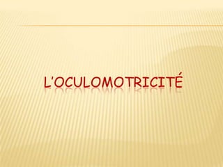 L’OCULOMOTRICITÉ
 