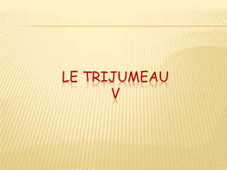 LE TRIJUMEAU
      V
 