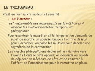 LE TRIJUMEAU:
C’est un nerf mixte moteur et sensitif.
    Le V moteur :
   est responsable des mouvements de la mâchoires il
    innerve les muscles masséter, temporal et
     ptérygoïdien.
   Pour examiner le masséter et le temporal, on demande au
     sujet de mordre un abaisse langue et on tire dessus
     pour l'arracher, on palpe les muscles pour déceler une
     asymétrie de la contraction.
   Les muscles ptérygoïdiens déplacent la mâchoire vers
     l'avant et vers le côté opposé; on demande au malade
     de déplacer sa mâchoire de côté et de résister à
     l'effort de l'examinateur pour la remettre en place.
 