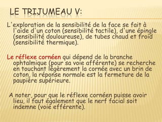 LE TRIJUMEAU V:
L'exploration de la sensibilité de la face se fait à
  l'aide d'un coton (sensibilité tactile), d'une épingle
  (sensibilité douloureuse), de tubes chaud et froid
  (sensibilité thermique).

Le réflexe cornéen qui dépend de la branche
  ophtalmique (pour sa voie afférente) se recherche
  en touchant légèrement la cornée avec un brin de
  coton, la réponse normale est la fermeture de la
  paupière supérieure.

A noter, pour que le réflexe cornéen puisse avoir
 lieu, il faut également que le nerf facial soit
 indemne (voie efférente).
 