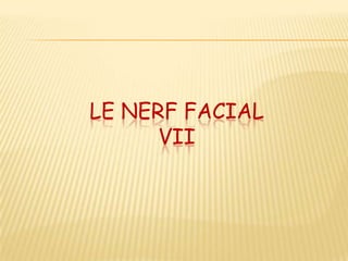 LE NERF FACIAL
      VII
 