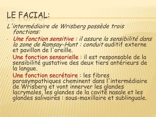 LE FACIAL:
L'intermédiaire de Wrisberg possède trois
  fonctions:
• Une fonction sensitive : il assure la sensibilité dans
  la zone de Ramsay-Hunt : conduit auditif externe
    et pavillon de l'oreille.
•   Une fonction sensorielle : il est responsable de la
    sensibilité gustative des deux tiers antérieurs de
    la langue.
•   Une fonction secrétaire : les fibres
    parasympathiques cheminent dans l'intermédiaire
    de Wrisberg et vont innerver les glandes
    lacrymales, les glandes de la cavité nasale et les
    glandes salivaires : sous-maxillaire et sublinguale.
 