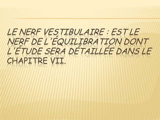 LE NERF VESTIBULAIRE : EST LE
NERF DE L'ÉQUILIBRATION DONT
L'ÉTUDE SERA DÉTAILLÉE DANS LE
CHAPITRE VII.
 