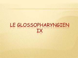 LE GLOSSOPHARYNGIEN
         IX
 