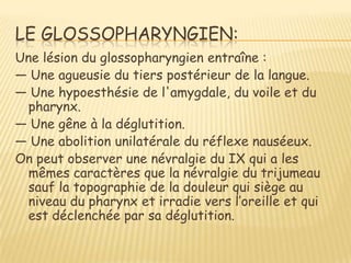 LE GLOSSOPHARYNGIEN:
Une lésion du glossopharyngien entraîne :
ŕ Une agueusie du tiers postérieur de la langue.
ŕ Une hypoesthésie de l'amygdale, du voile et du
  pharynx.
ŕ Une gêne à la déglutition.
ŕ Une abolition unilatérale du réflexe nauséeux.
On peut observer une névralgie du IX qui a les
  mêmes caractères que la névralgie du trijumeau
  sauf la topographie de la douleur qui siège au
  niveau du pharynx et irradie vers l’oreille et qui
  est déclenchée par sa déglutition.
 
