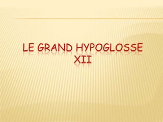 LE GRAND HYPOGLOSSE
        XII
 