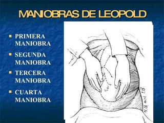 MANIOBRAS DE LEOPOLD PRIMERA  MANIOBRA SEGUNDA  MANIOBRA TERCERA  MANIOBRA CUARTA  MANIOBRA 