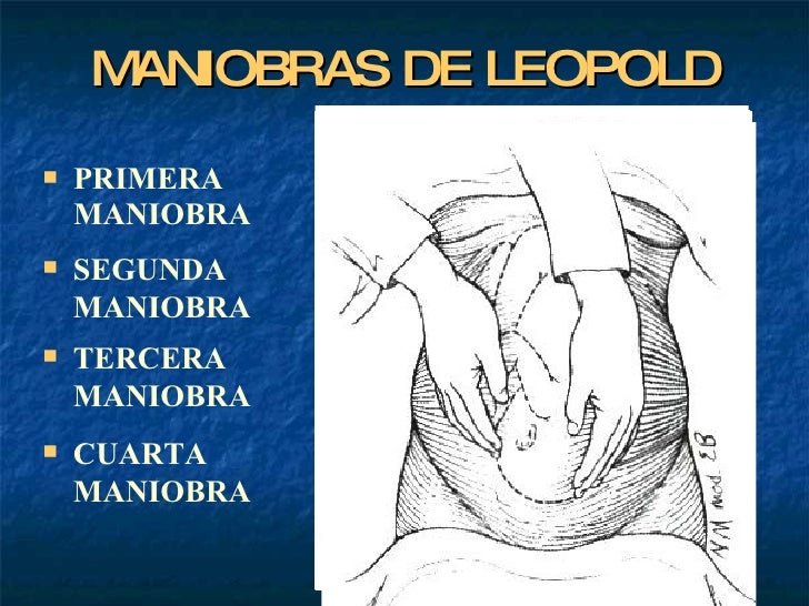 Examen obstetrico