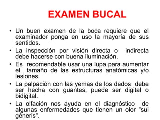 EXAMEN BUCAL
• Un buen examen de la boca requiere que el
examinador ponga en uso la mayoría de sus
sentidos.
• La inspección por visión directa o indirecta
debe hacerse con buena iluminación.
• Es recomendable usar una lupa para aumentar
el tamaño de las estructuras anatómicas y/o
lesiones.
• La palpación con las yemas de los dedos debe
ser hecha con guantes, puede ser digital o
bidigital.
• La olfación nos ayuda en el diagnóstico de
algunas enfermedades que tienen un olor "sui
géneris".
 