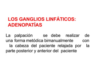 LOS GANGLIOS LINFÁTICOS:
ADENOPATÍAS
La palpación se debe realizar de
una forma metódica bimanualmente con
la cabeza del paciente relajada por la
parte posterior y anterior del paciente
 