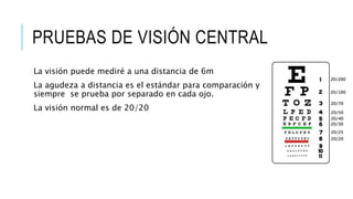 PRUEBAS DE VISIÓN CENTRAL
La visión puede mediré a una distancia de 6m
La agudeza a distancia es el estándar para comparación y
siempre se prueba por separado en cada ojo.
La visión normal es de 20/20
 