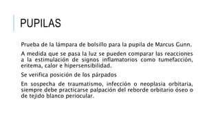 PUPILAS
Prueba de la lámpara de bolsillo para la pupila de Marcus Gunn.
A medida que se pasa la luz se pueden comparar las reacciones
a la estimulación de signos inflamatorios como tumefacción,
eritema, calor e hipersensibilidad.
Se verifica posición de los párpados
En sospecha de traumatismo, infección o neoplasia orbitaria,
siempre debe practicarse palpación del reborde orbitario óseo o
de tejido blanco periocular.
 